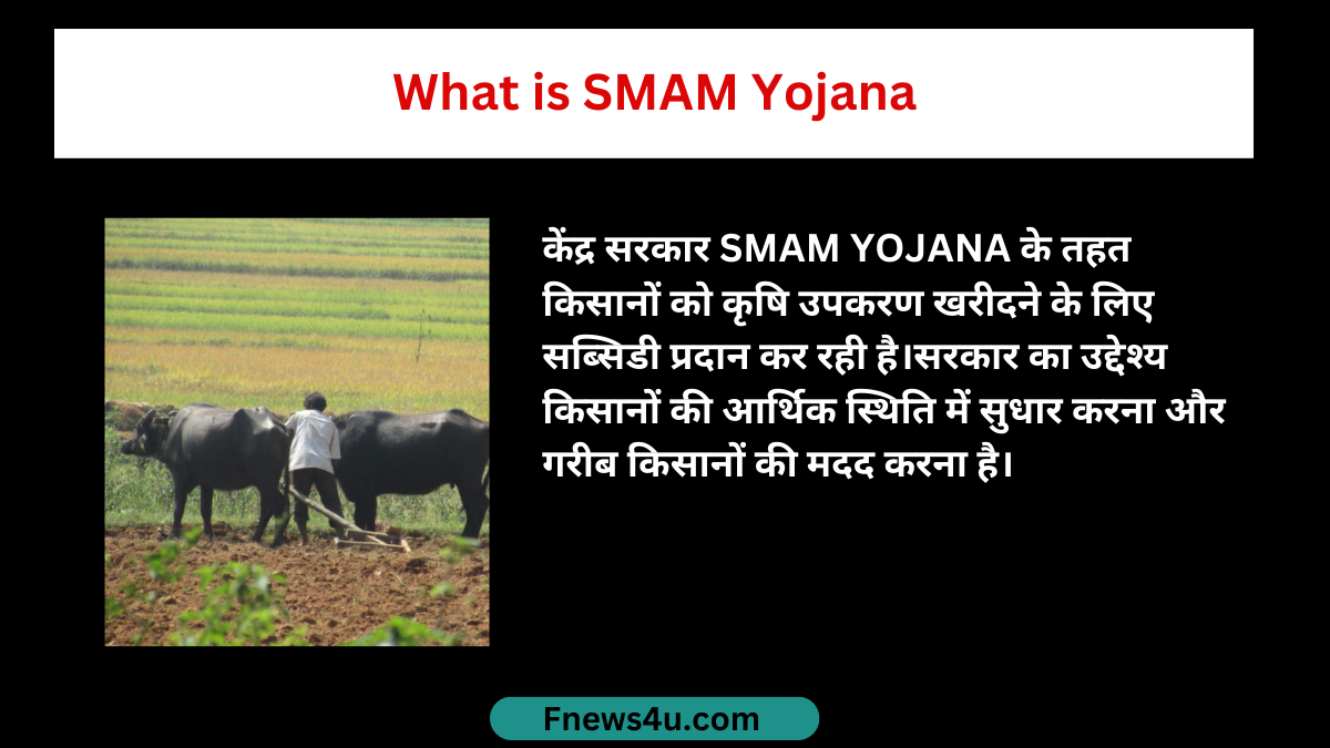 What is SMAM Yojana